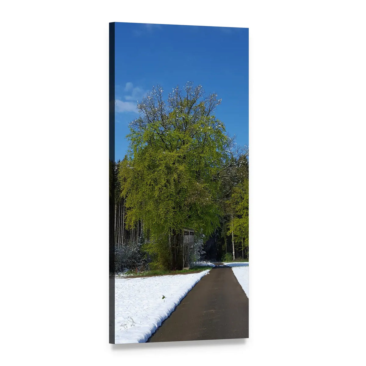 Snow-lined Path with Spring Foliage Vertical Canvas Wall Art, 1 panel 1 Vertical layout gallery wrapped canvas set, angled product view