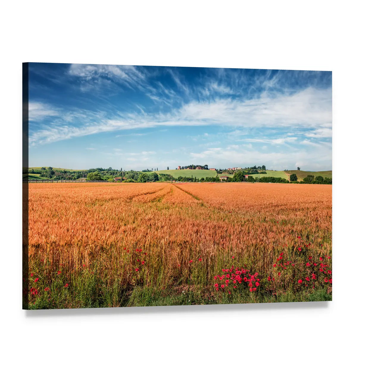 Wheat Field In Tuscany Canvas Wall Art, single panel gallery wrapped canvas, angled product view