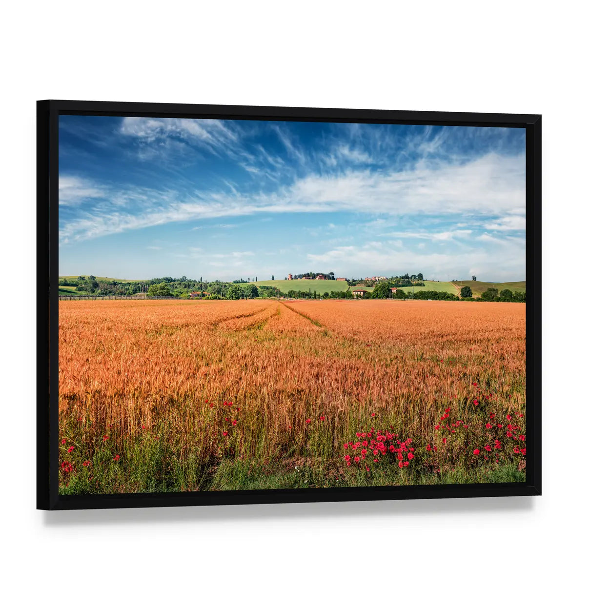 Wheat Field In Tuscany Canvas Wall Art, framed canvas in a black floater frame, angled product view
