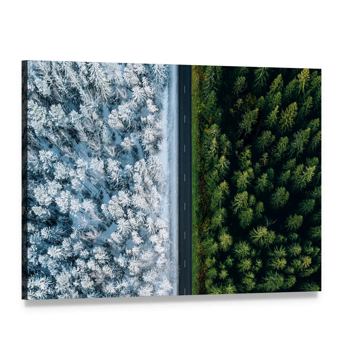 Highway Road Through Forest In Summer And Winter Canvas Wall Art, single panel gallery wrapped canvas, angled product view