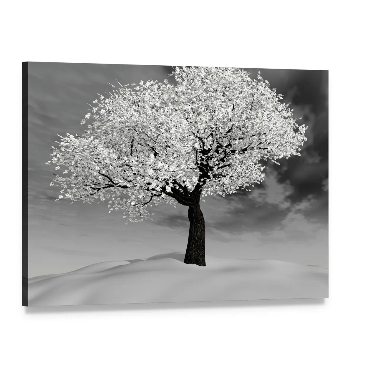 Cherry Tree in Winter Canvas Wall Art, single panel gallery wrapped canvas, angled product view