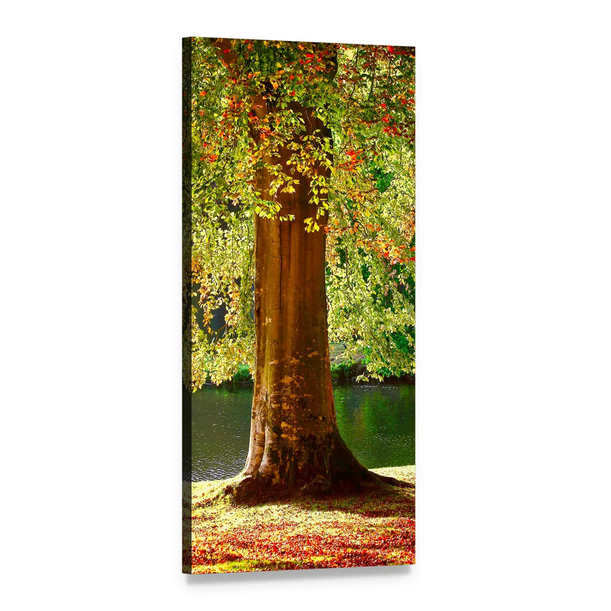 Autumn Tree with Rippling Water Vertical Canvas Wall Art, 1 panel 1 Vertical layout gallery wrapped canvas set, angled product view