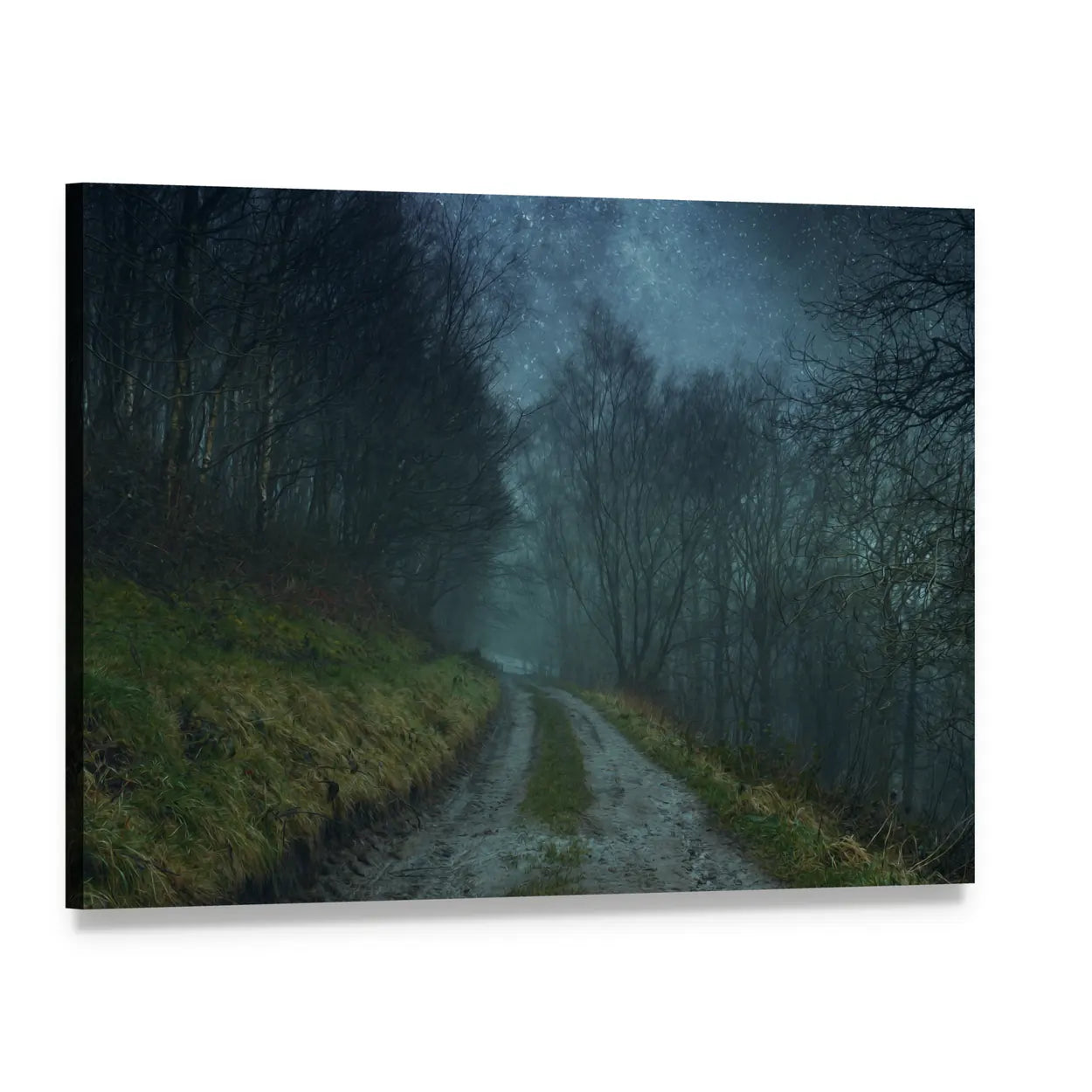 Foggy Forest Path Under Starry Sky Canvas Wall Art, single panel gallery wrapped canvas, angled product view