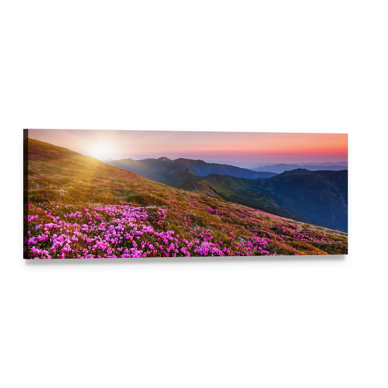 Sunburst Over Pink Wildflower Mountains Panoramic Canvas Wall Art, single panel gallery wrapped canvas, angled product view