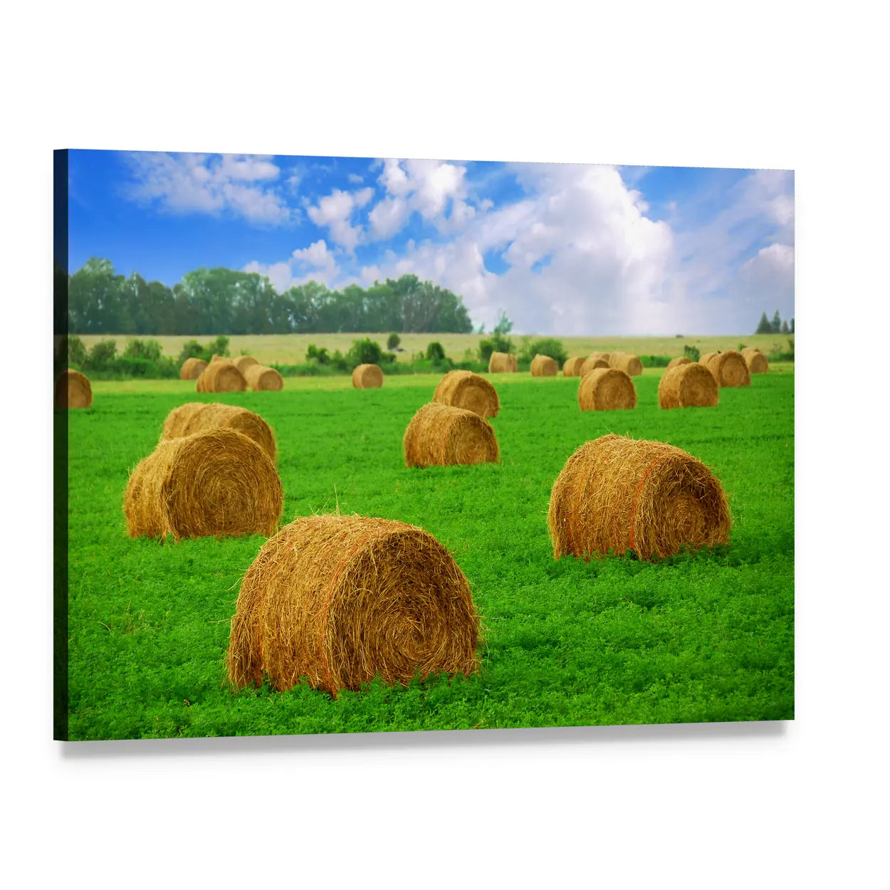 Hay Bales in a Field Canvas Wall Art, single panel gallery wrapped canvas, angled product view