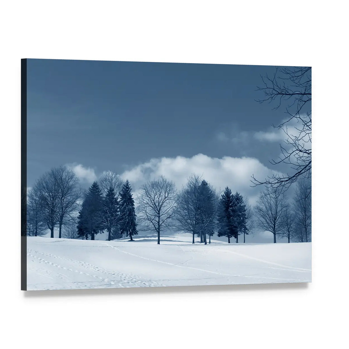 Snowy Field with Evergreens and Tracks Canvas Wall Art, single panel gallery wrapped canvas, angled product view