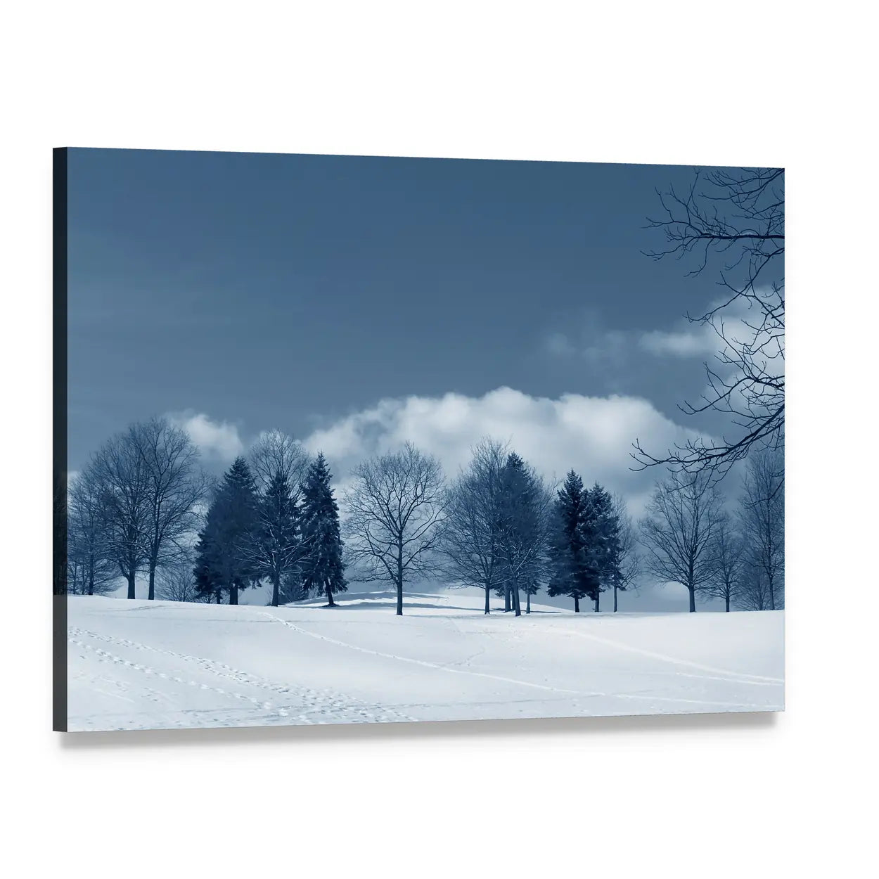 Snowy Field with Evergreens and Tracks Canvas Wall Art, single panel gallery wrapped canvas, angled product view