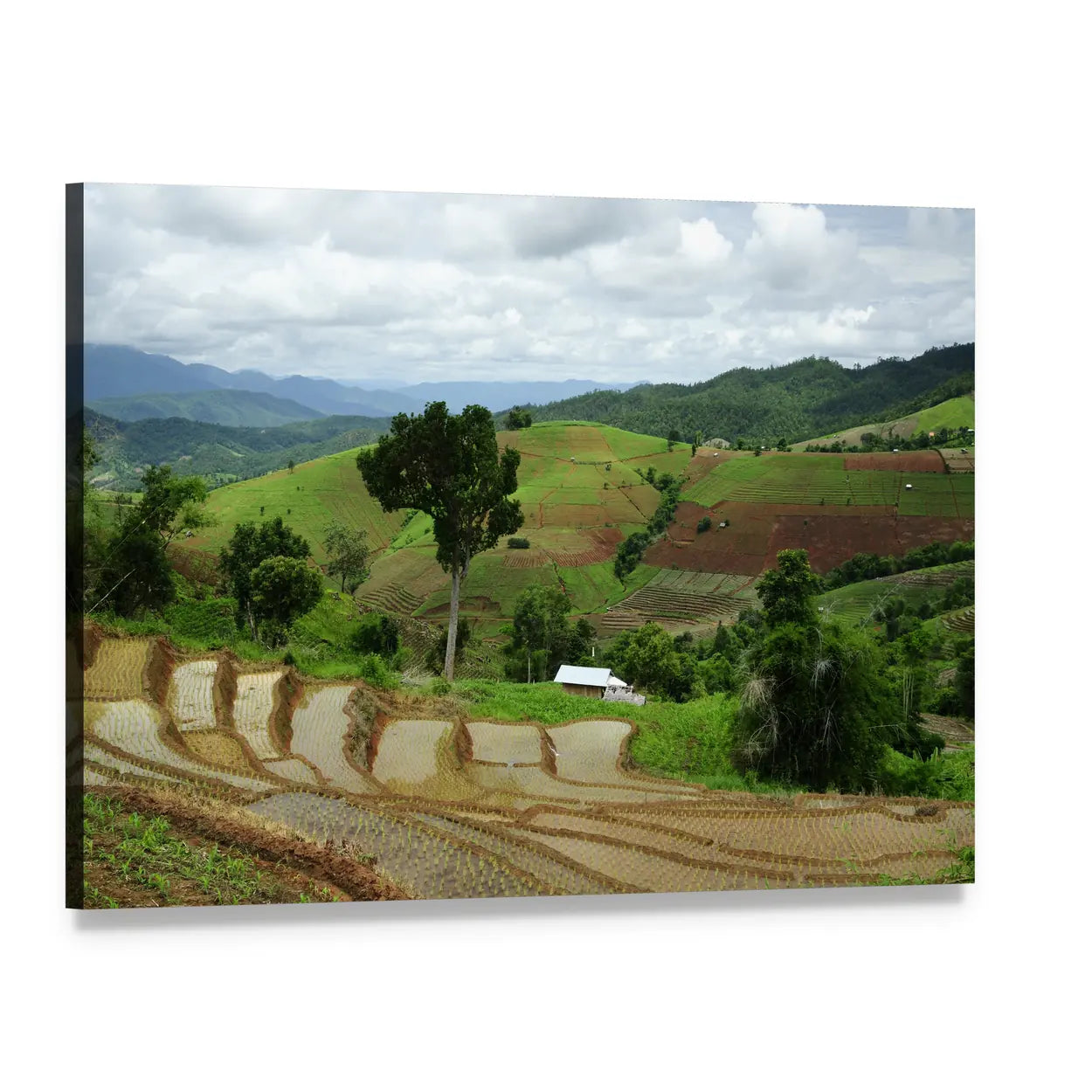 Maechaem Rice Terraces, Thailand Canvas Wall Art, single panel gallery wrapped canvas, angled product view