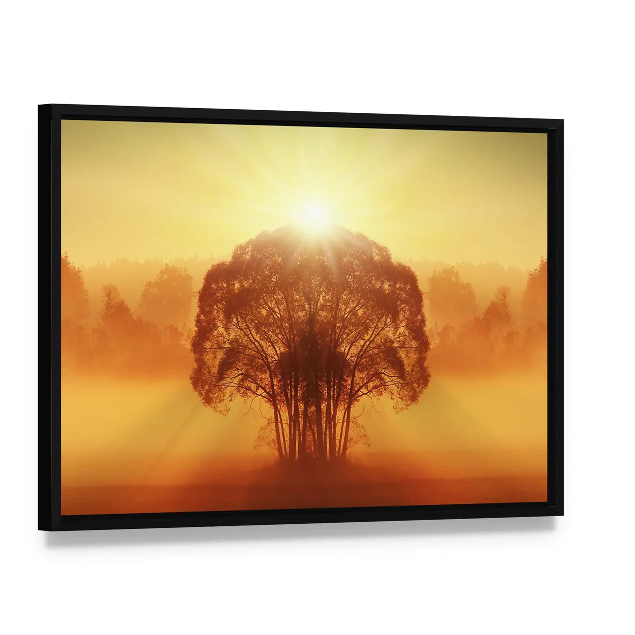 Lone Tree in Golden Morning Mist Canvas Wall Art, framed canvas in a black floater frame, angled product view