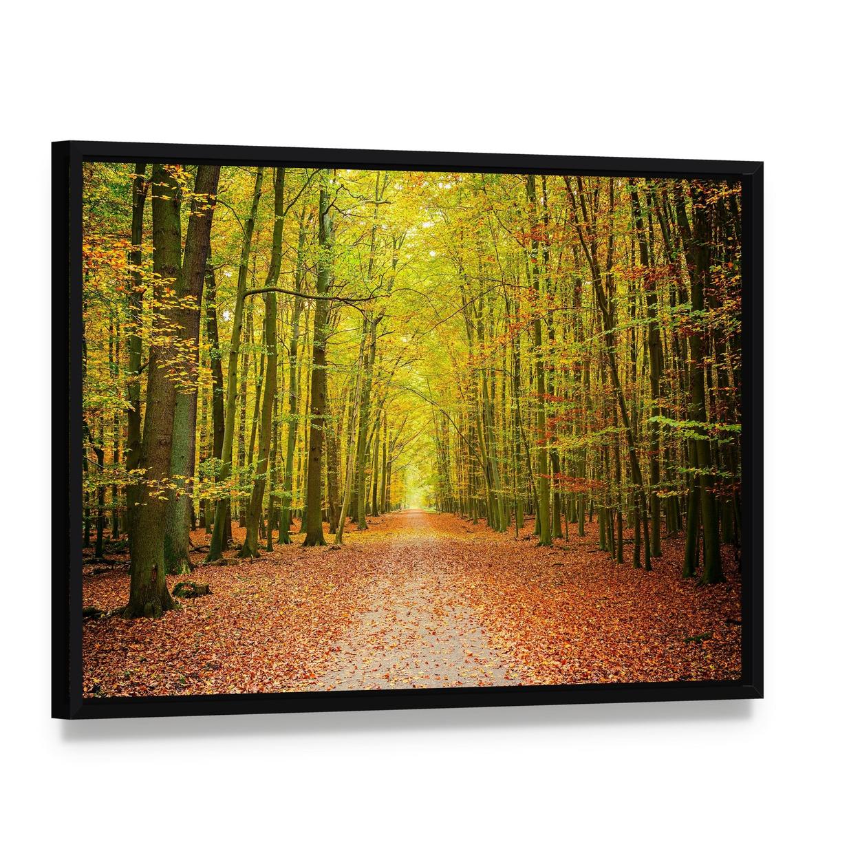 Pathway in the Autumn Forest Canvas Wall Art, framed canvas in a black floater frame, angled product view