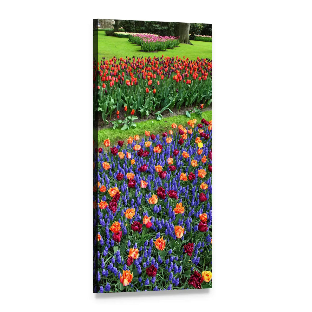 Layered Tulips and Grape Hyacinths Vertical Canvas Wall Art, 1 panel 1 Vertical layout gallery wrapped canvas set, angled product view
