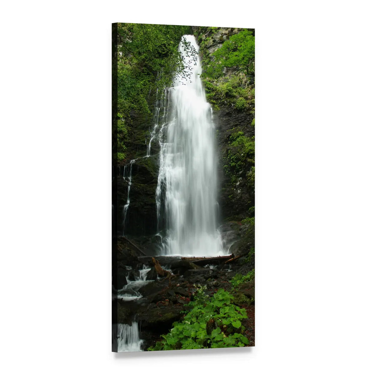 Mossy Forest Waterfall in Bulgaria Vertical Canvas Wall Art, 1 panel 1 Vertical layout gallery wrapped canvas set, angled product view