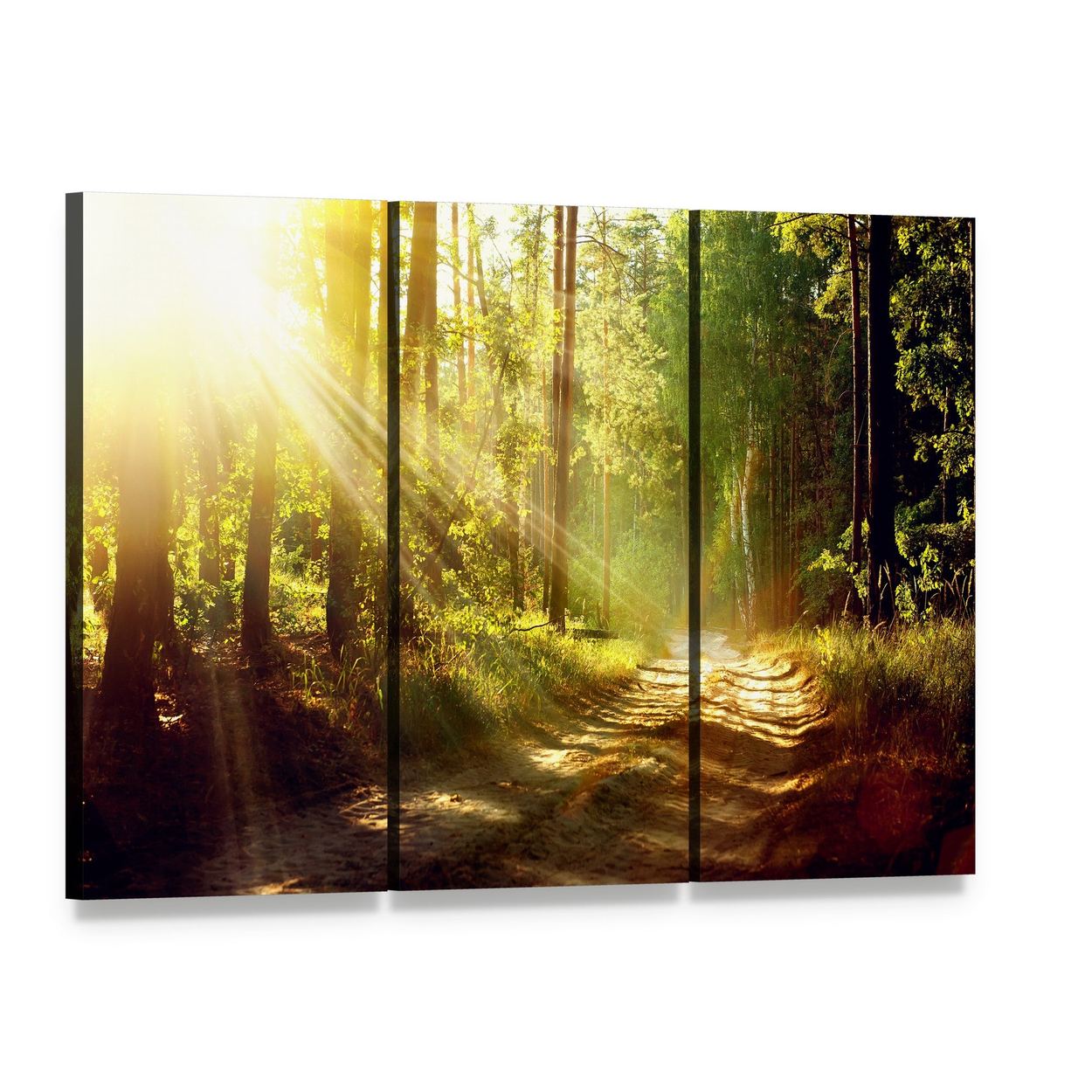Forest Path with Sunbeams Canvas Wall Art, 3 panel 3 Horizontal layout gallery wrapped canvas set, angled product view