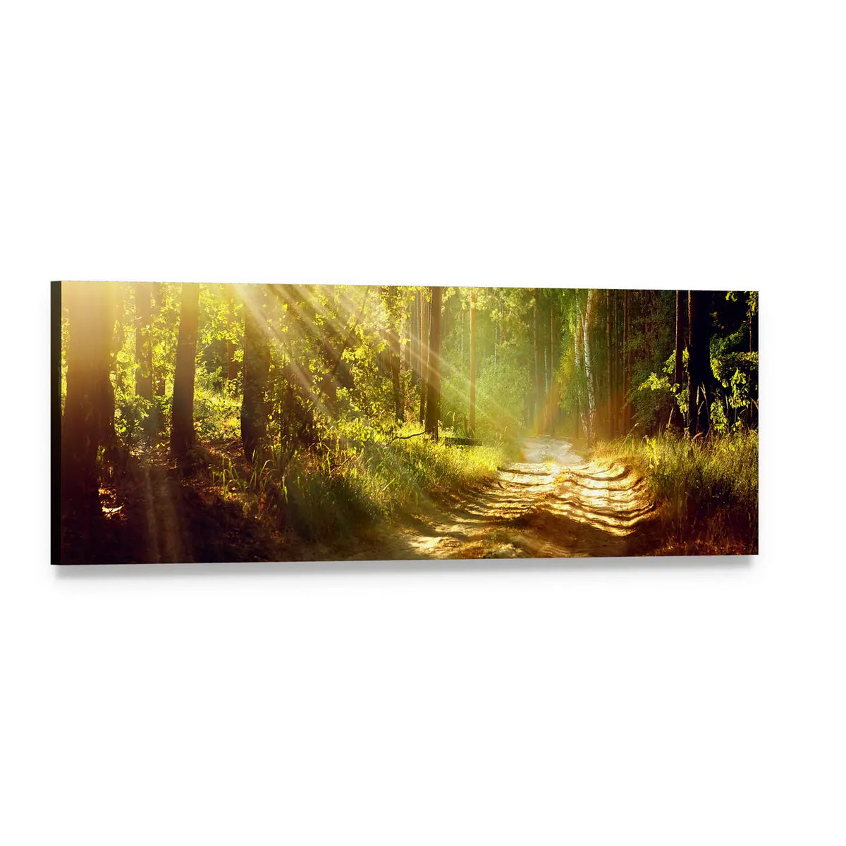 Sunlit Forest Path Panoramic Canvas Wall Art, single panel gallery wrapped canvas, angled product view