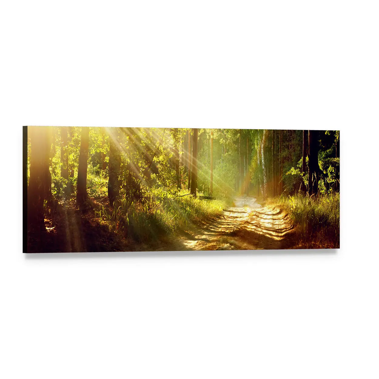 Sunlit Forest Path Panoramic Canvas Wall Art, single panel gallery wrapped canvas, angled product view