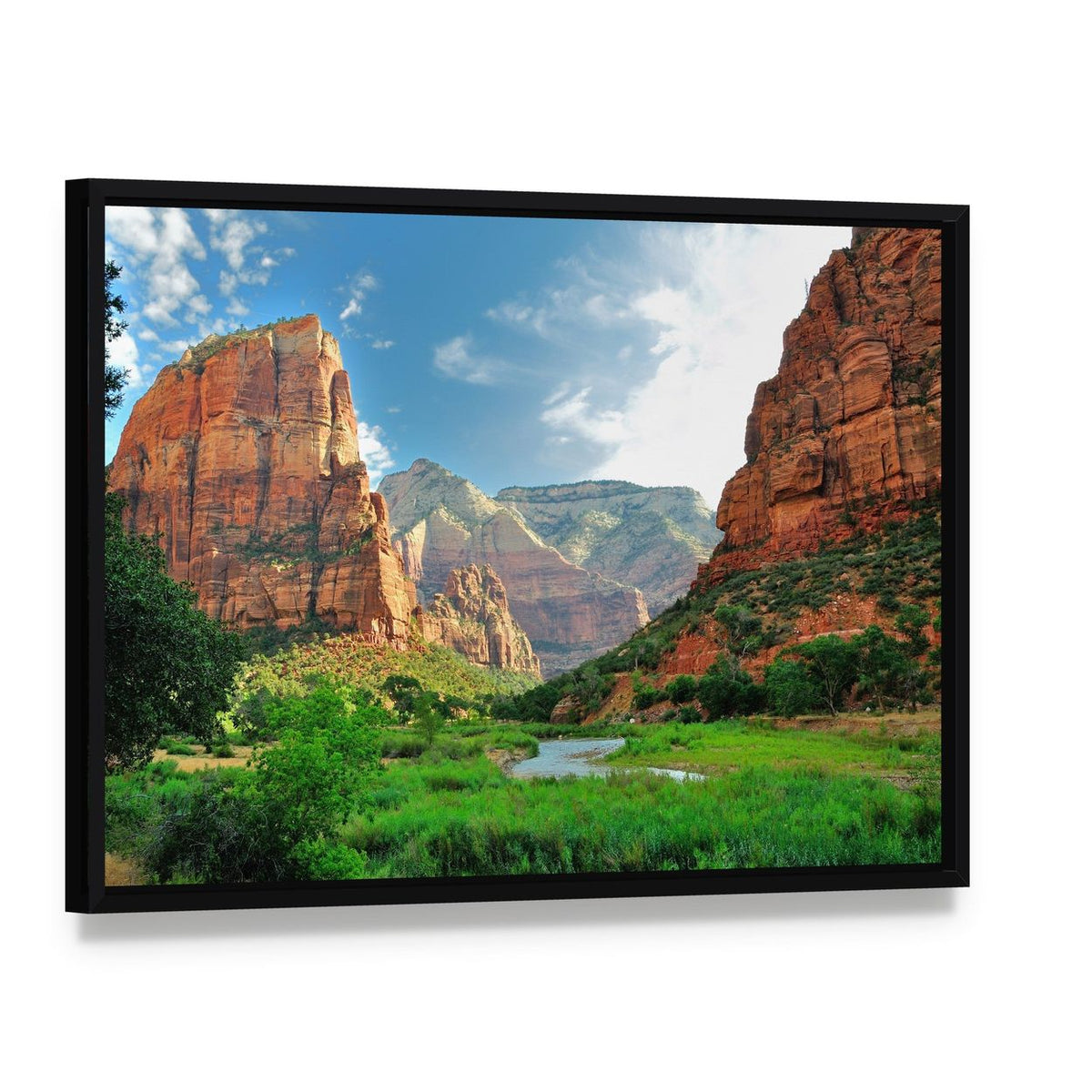 Sunlit Canyon with Winding River Canvas Wall Art, framed canvas in a black floater frame, angled product view