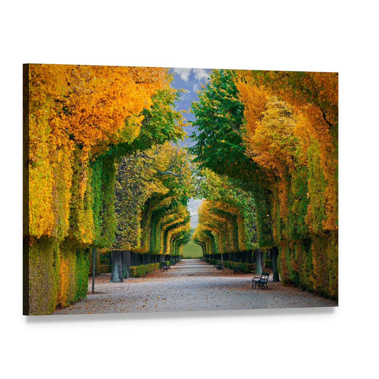 Long Road in Autumn Park Canvas Wall Art, single panel gallery wrapped canvas, angled product view