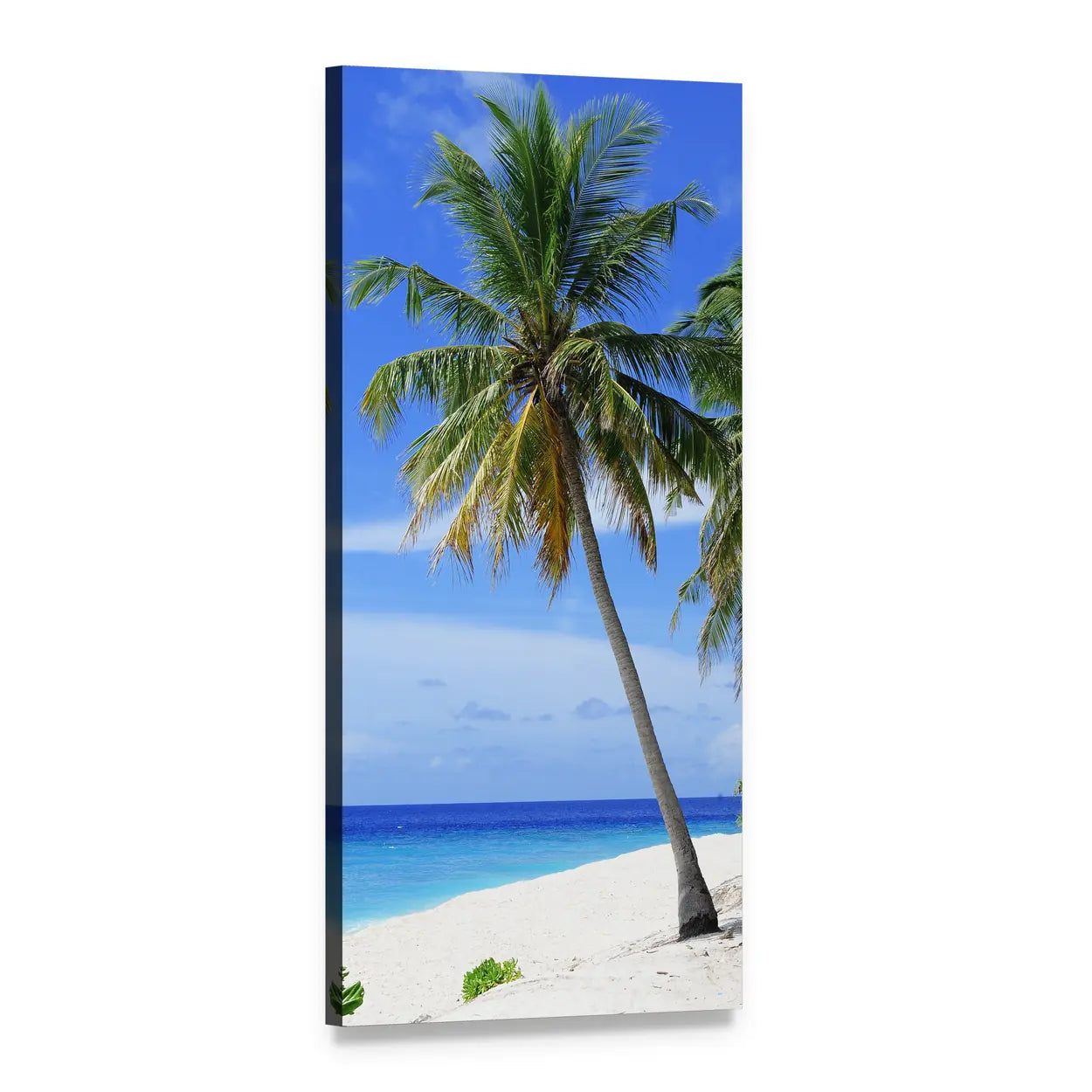 Palm Tree Beach in Maldives Vertical Canvas Wall Art, 1 panel 1 Vertical layout gallery wrapped canvas set, angled product view
