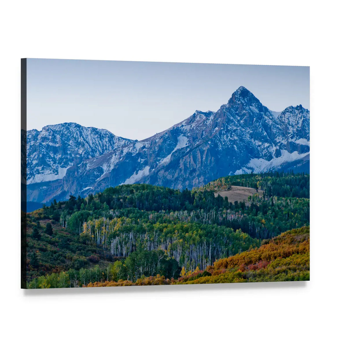 Aspen Forest and Snow-capped Mountains Canvas Wall Art, single panel gallery wrapped canvas, angled product view