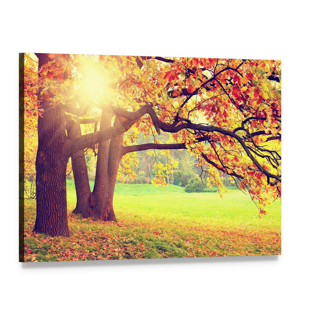 Beautiful Autumn Landscape Canvas Wall Art, single panel gallery wrapped canvas, angled product view