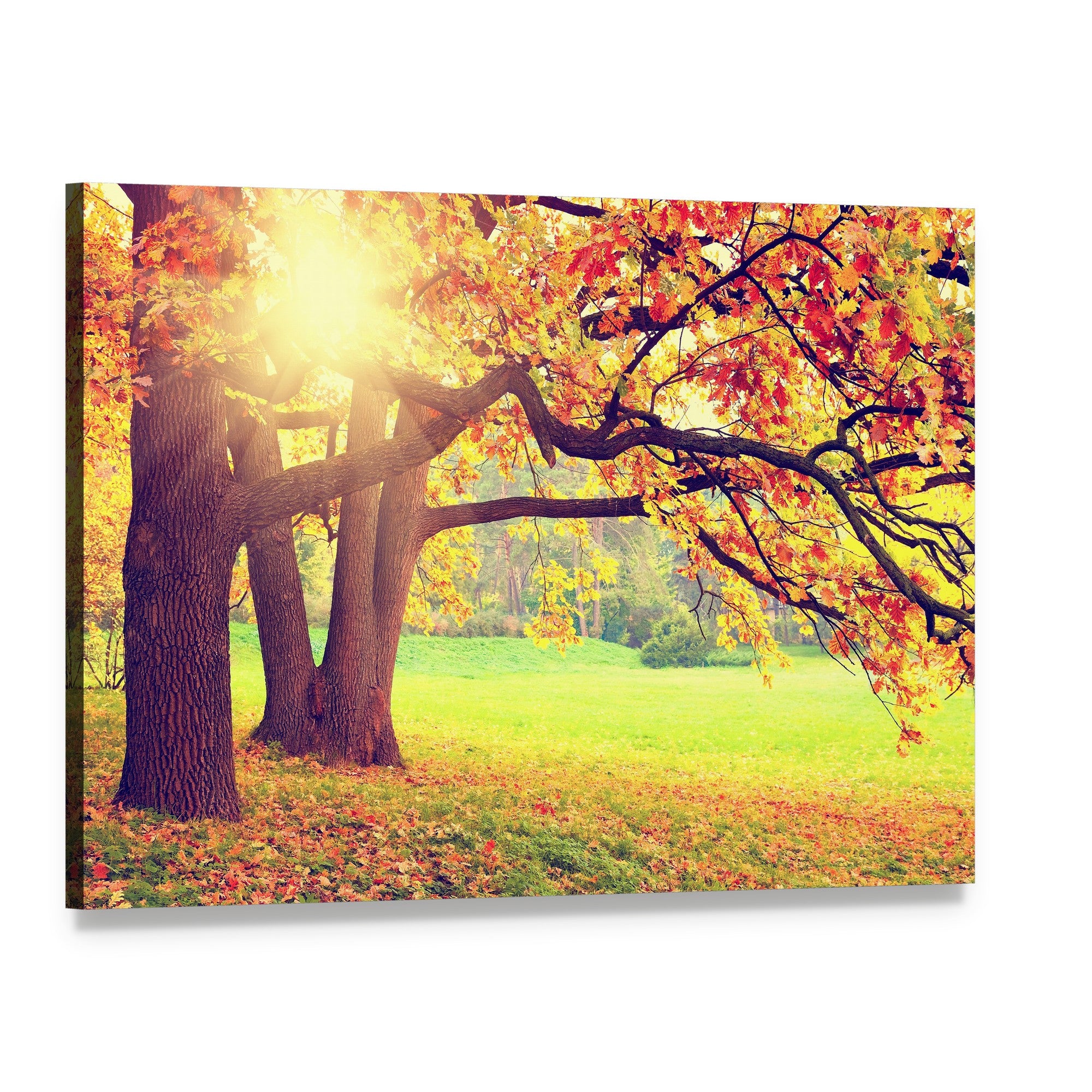 Beautiful Autumn Landscape Canvas Wall Art, single panel gallery wrapped canvas, angled product view