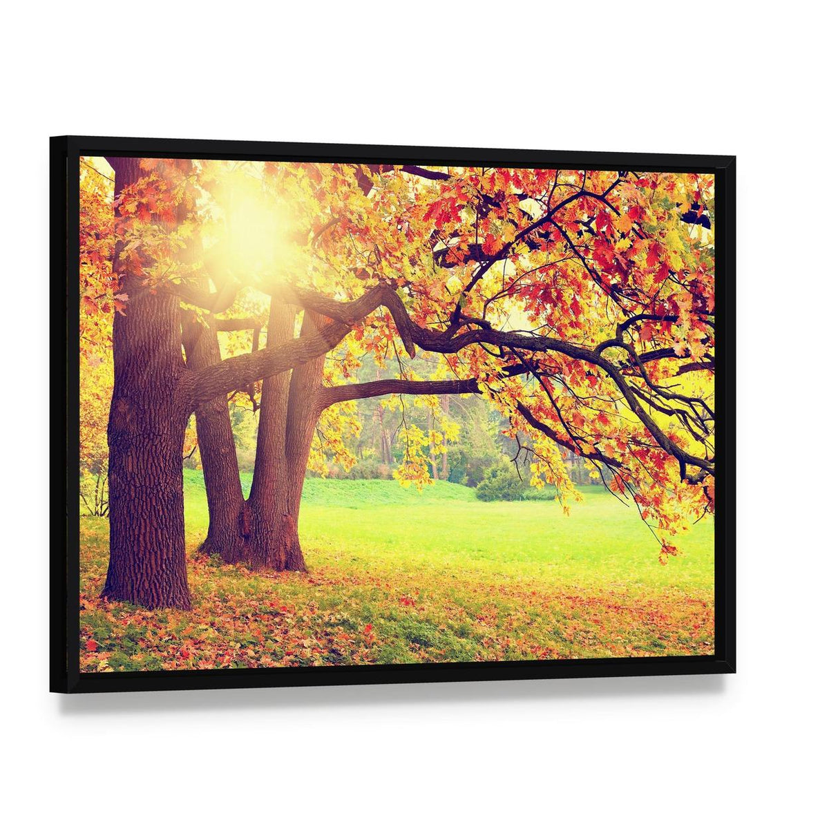 Beautiful Autumn Landscape Canvas Wall Art, framed canvas in a black floater frame, angled product view