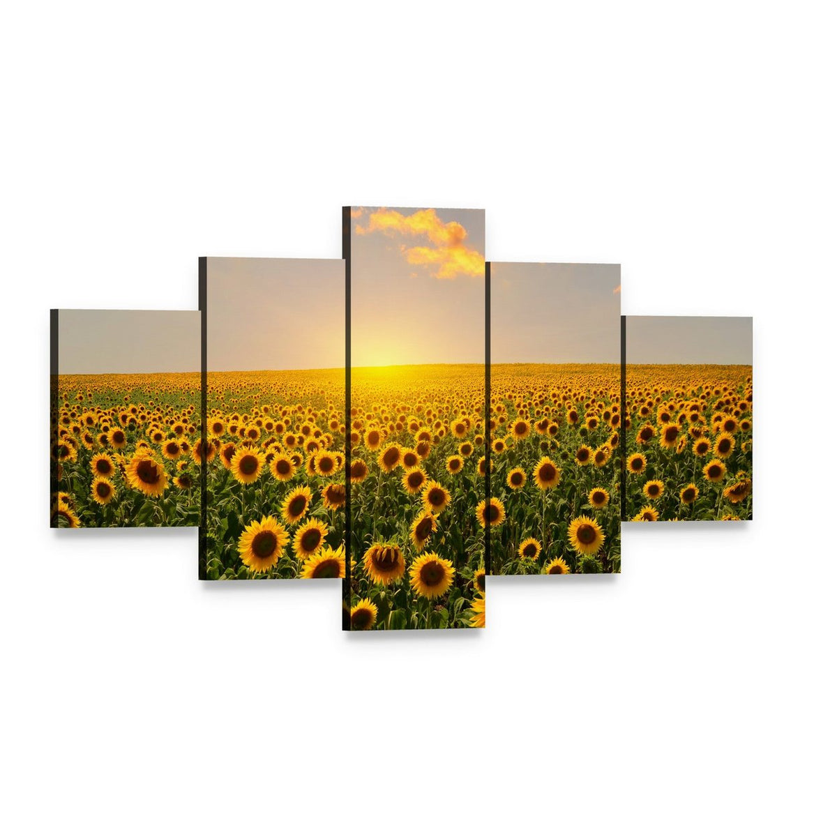Blooming Sunflowers at Sunset Canvas Wall Art, 5 panel 5 Star layout gallery wrapped canvas set, angled product view