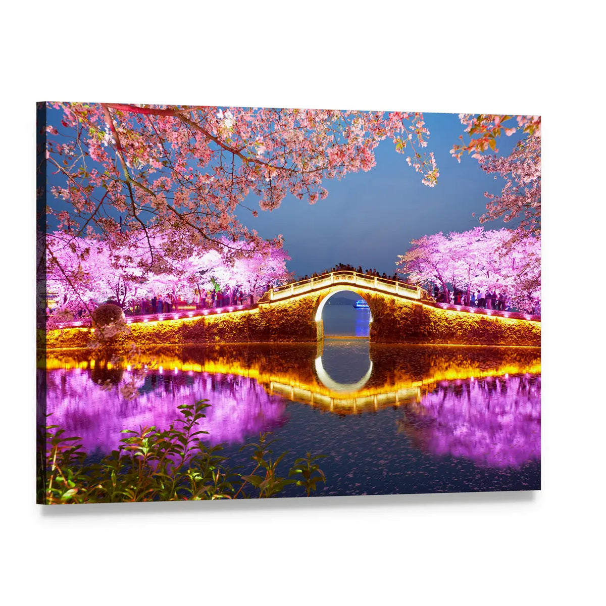 The Turtle Head Park In China Canvas Wall Art, single panel gallery wrapped canvas, angled product view