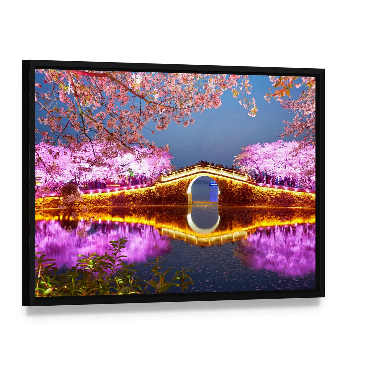 The Turtle Head Park In China Canvas Wall Art, framed canvas in a black floater frame, angled product view
