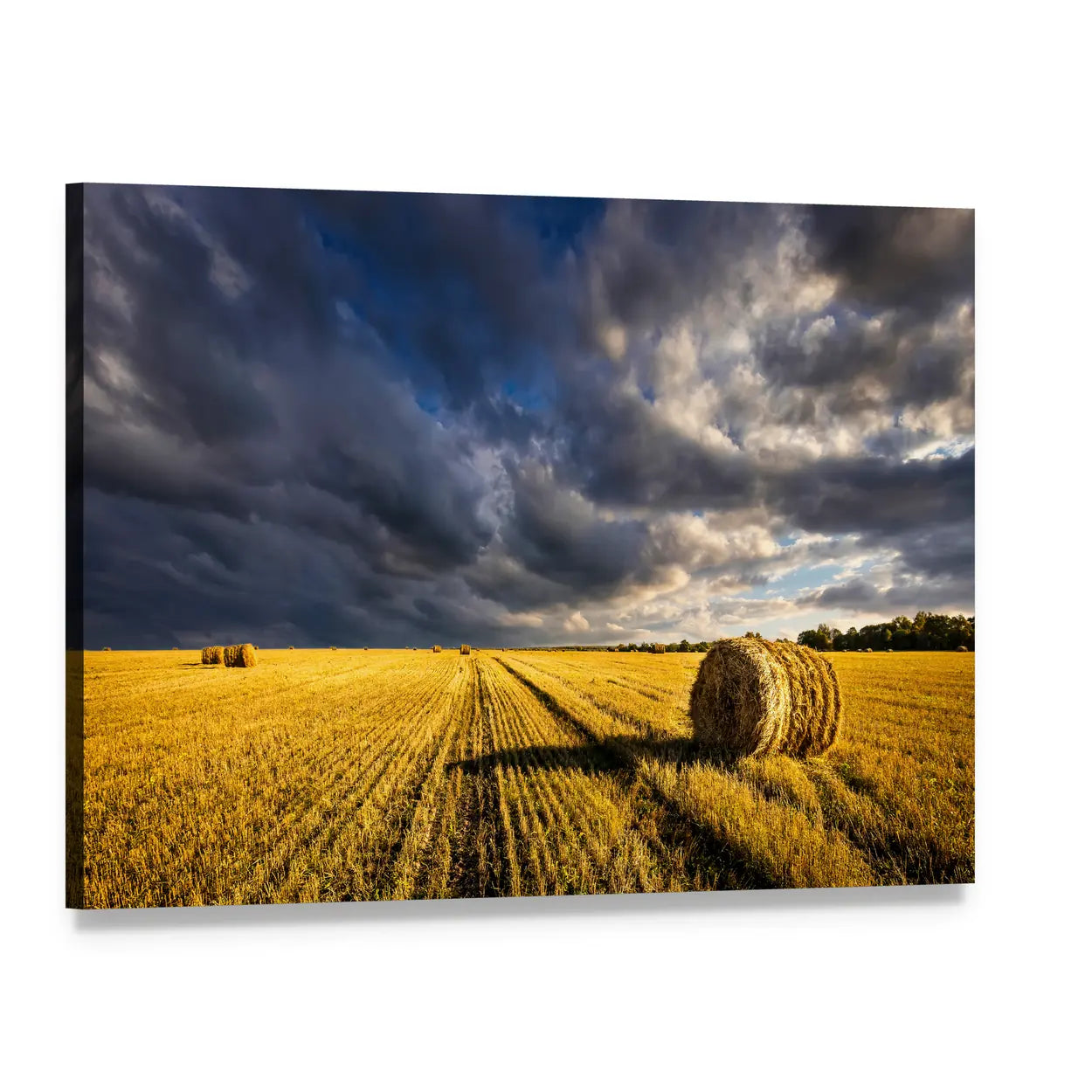 Golden Haystacks Field Canvas Wall Art, single panel gallery wrapped canvas, angled product view
