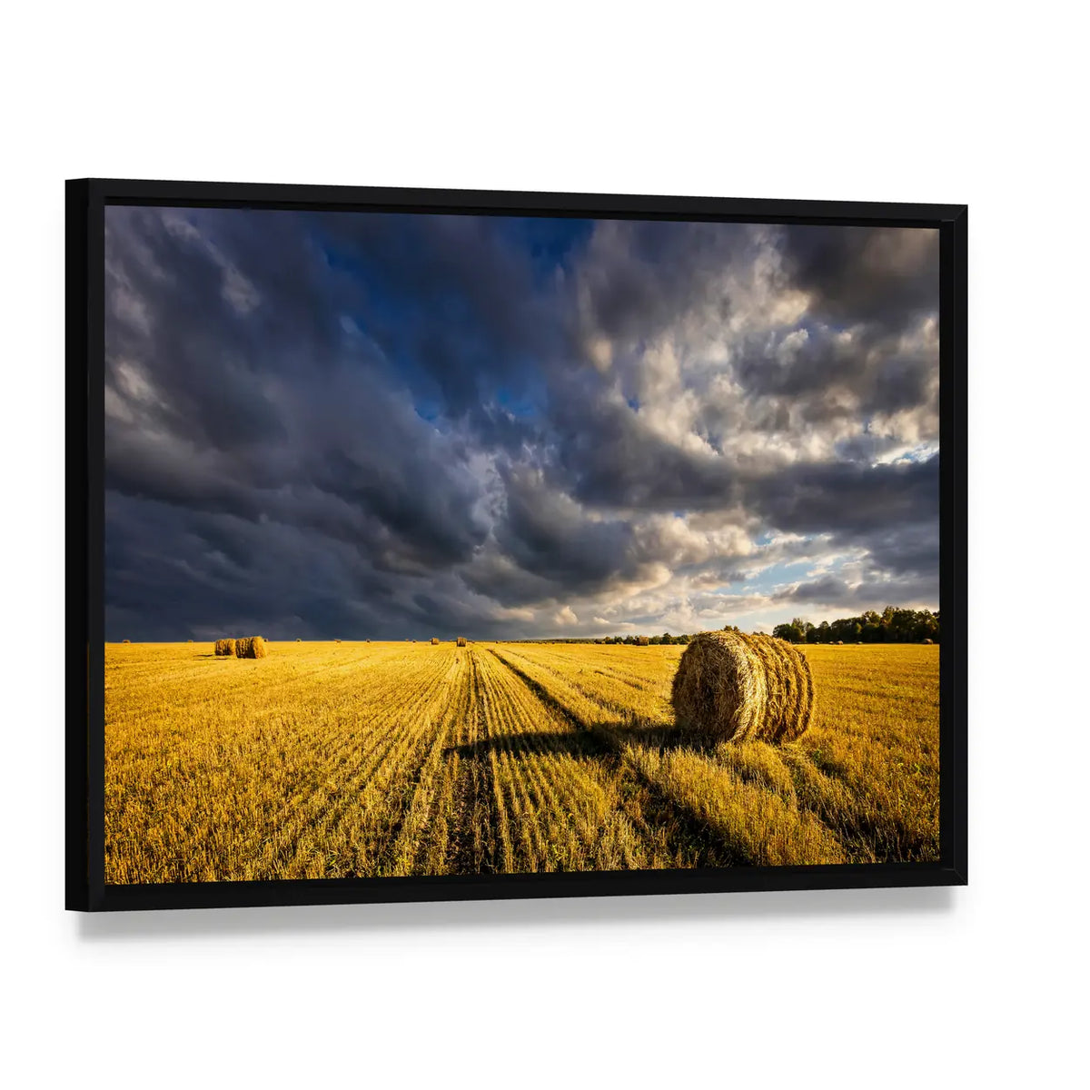 Golden Haystacks Field Canvas Wall Art, framed canvas in a black floater frame, angled product view