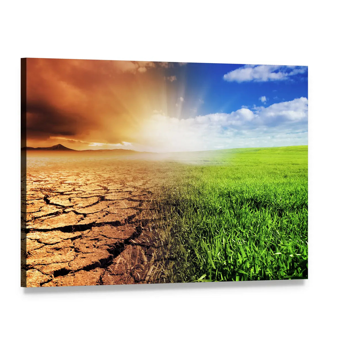 Split Earth: Green and Barren Canvas Wall Art, single panel gallery wrapped canvas, angled product view