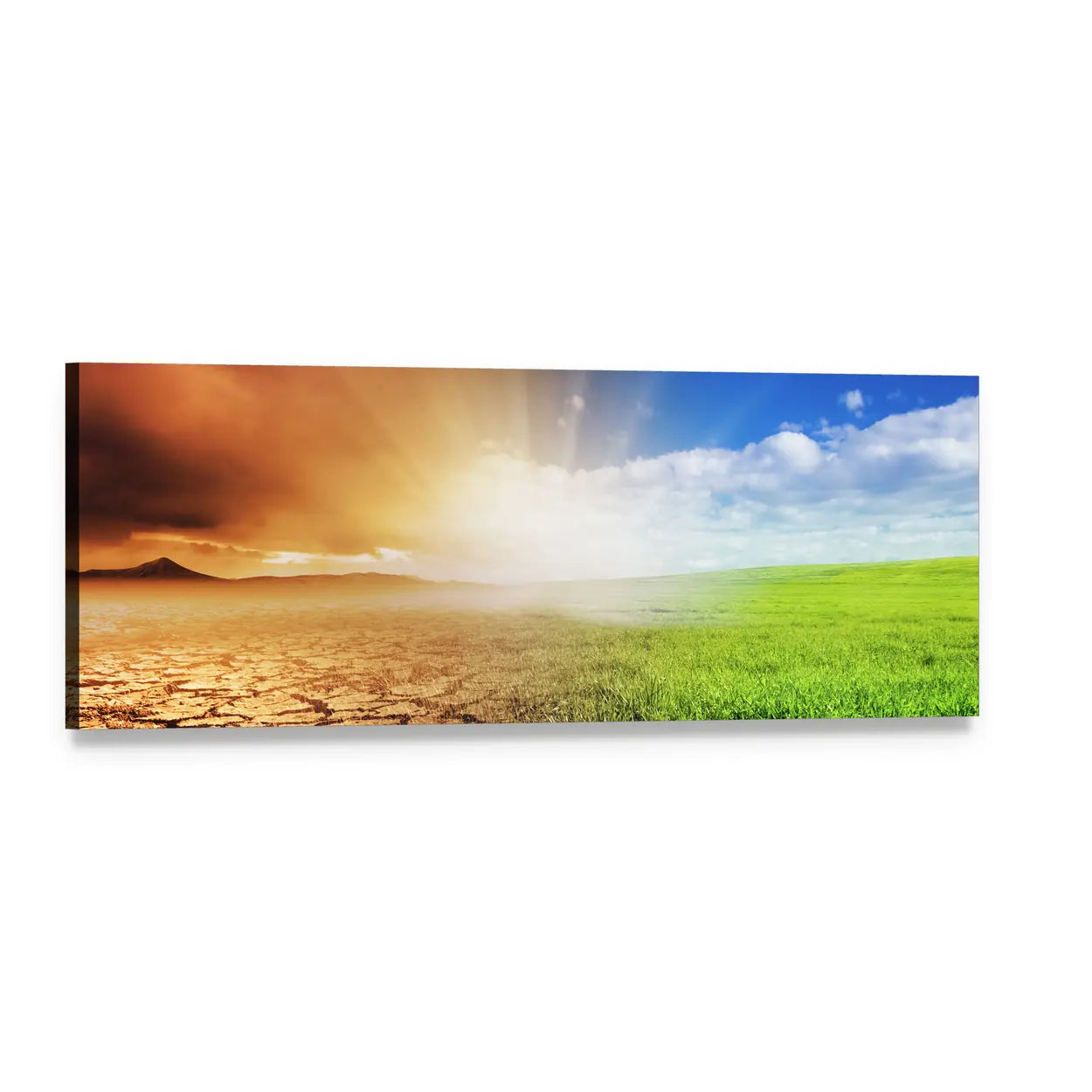 Barren Earth and Lush Meadow Panoramic Canvas Wall Art, single panel gallery wrapped canvas, angled product view