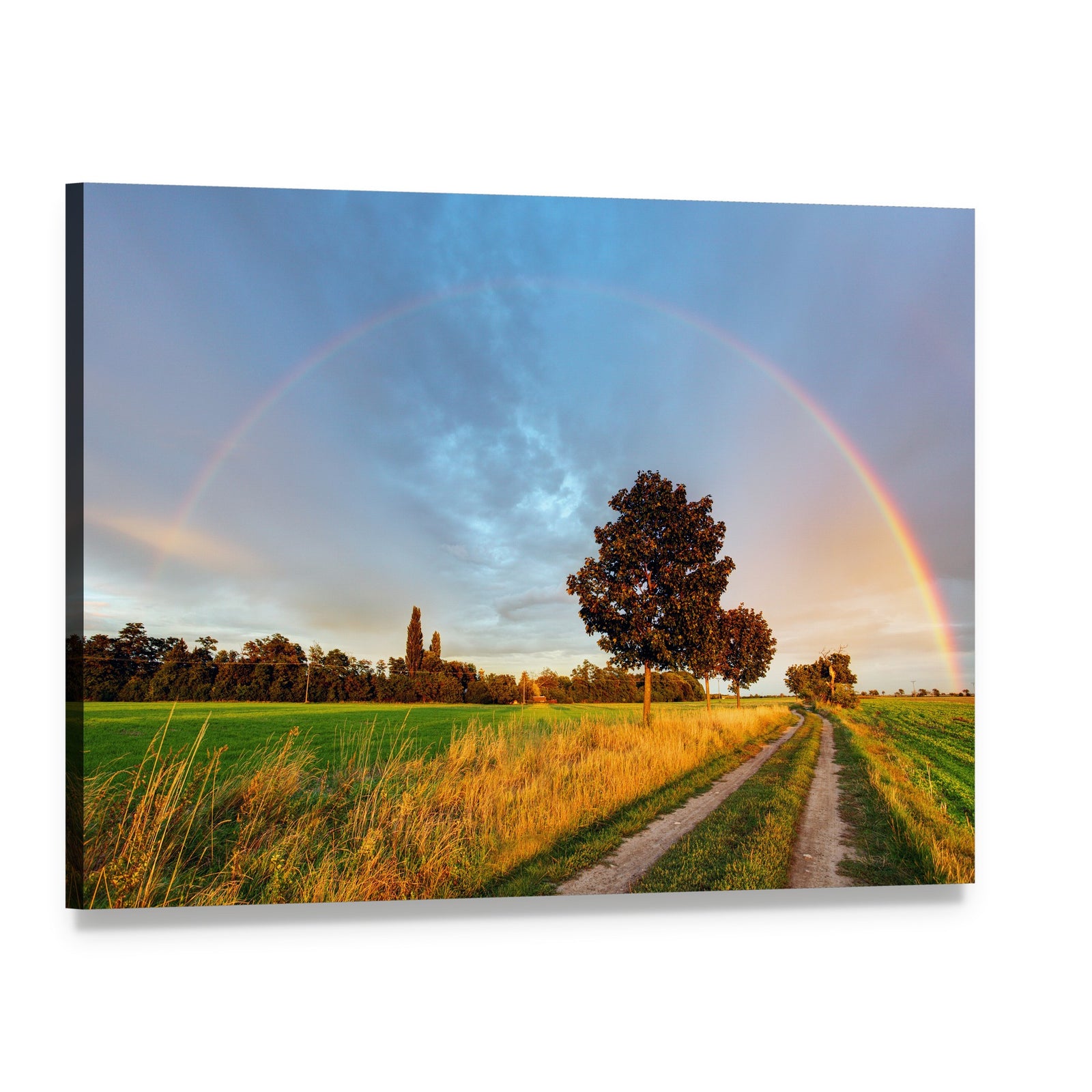 Rainbow Over Field Road Canvas Wall Art, single panel gallery wrapped canvas, angled product view