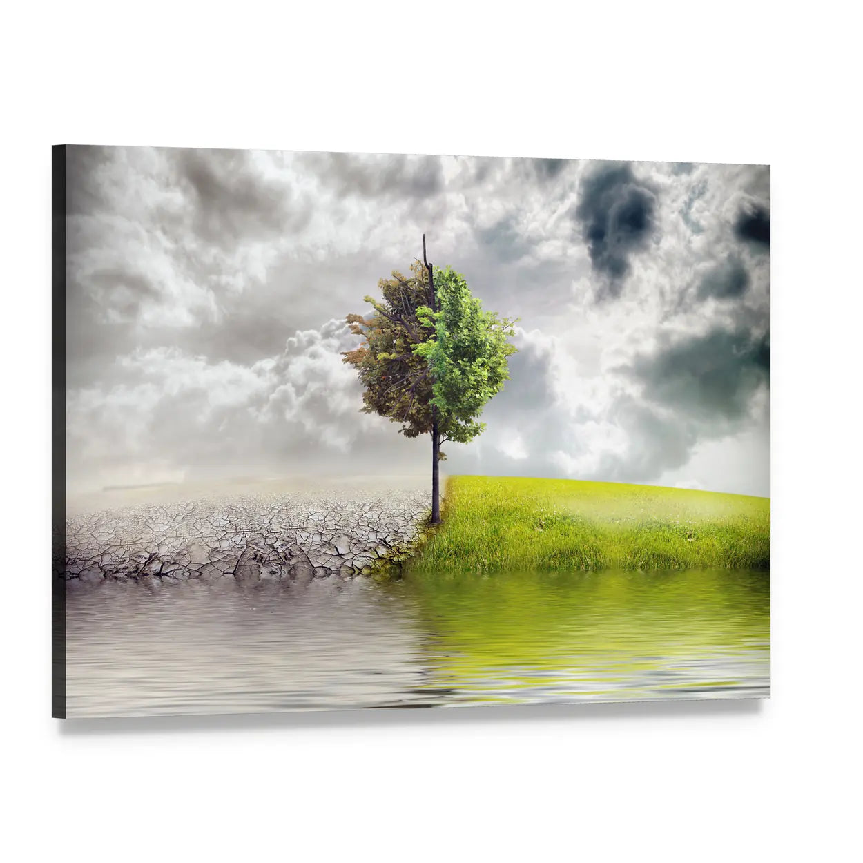 Split Tree and River Ecology Landscape Canvas Wall Art, single panel gallery wrapped canvas, angled product view
