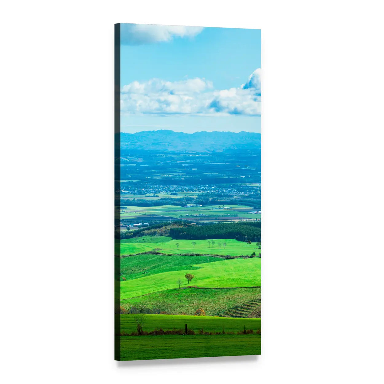 Lone Tree on Rolling Green Hills Vertical Canvas Wall Art, 1 panel 1 Vertical layout gallery wrapped canvas set, angled product view