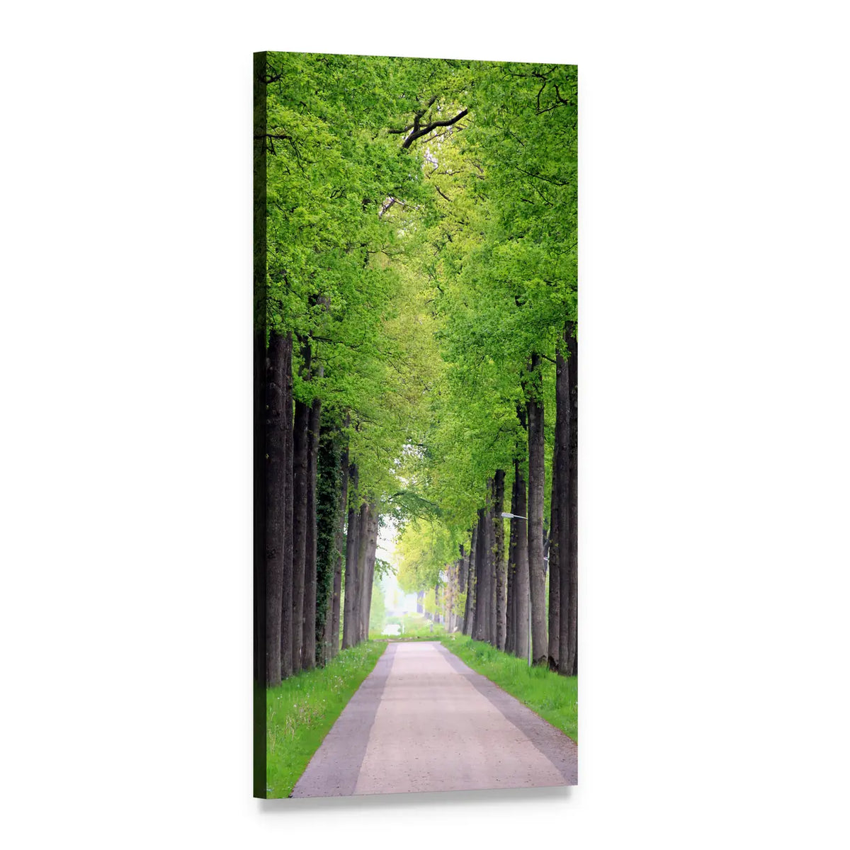 Friesland Forest Path Vertical Canvas Wall Art, 1 panel 1 Vertical layout gallery wrapped canvas set, angled product view