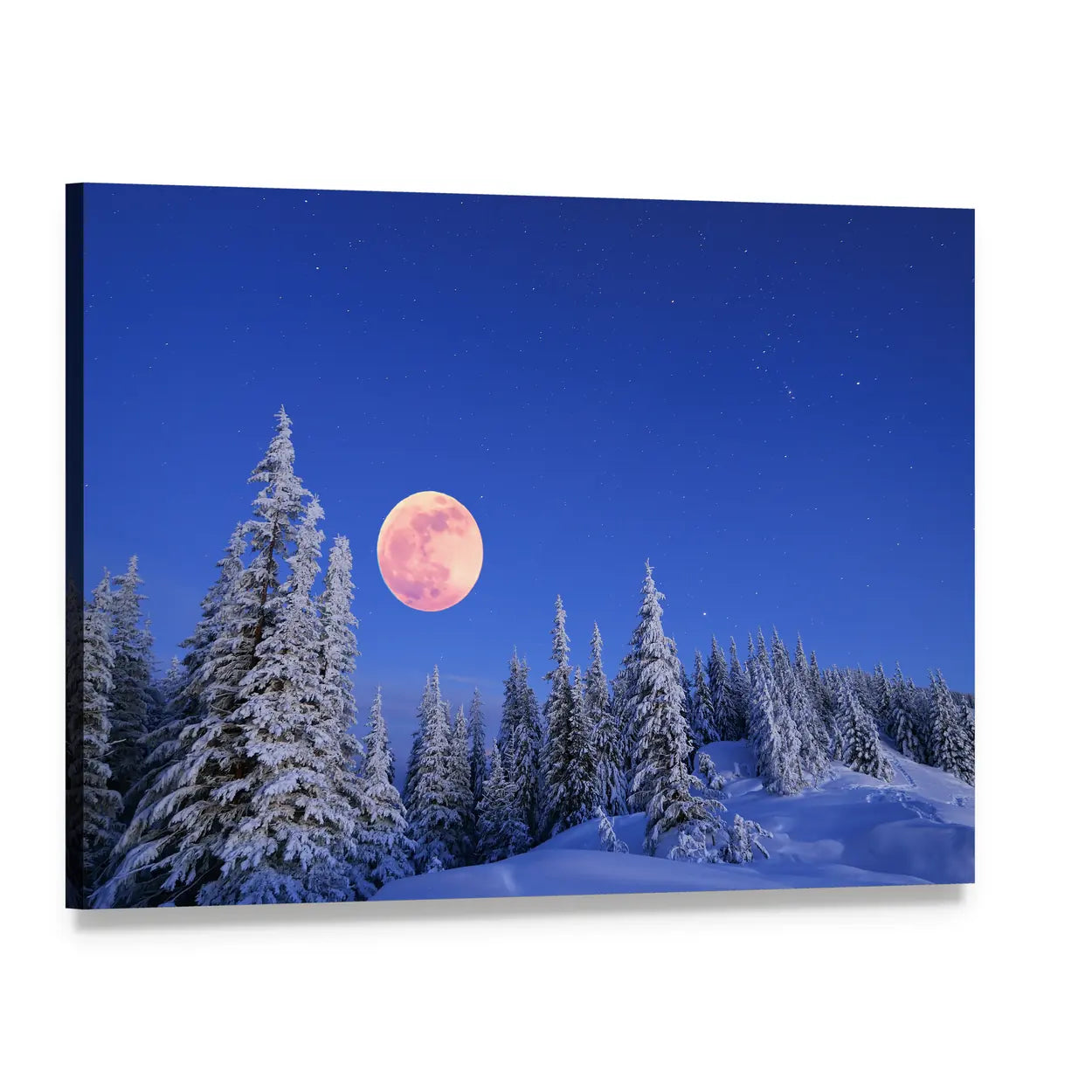 Winter Moon Over Snowy Pines Canvas Wall Art, single panel gallery wrapped canvas, angled product view