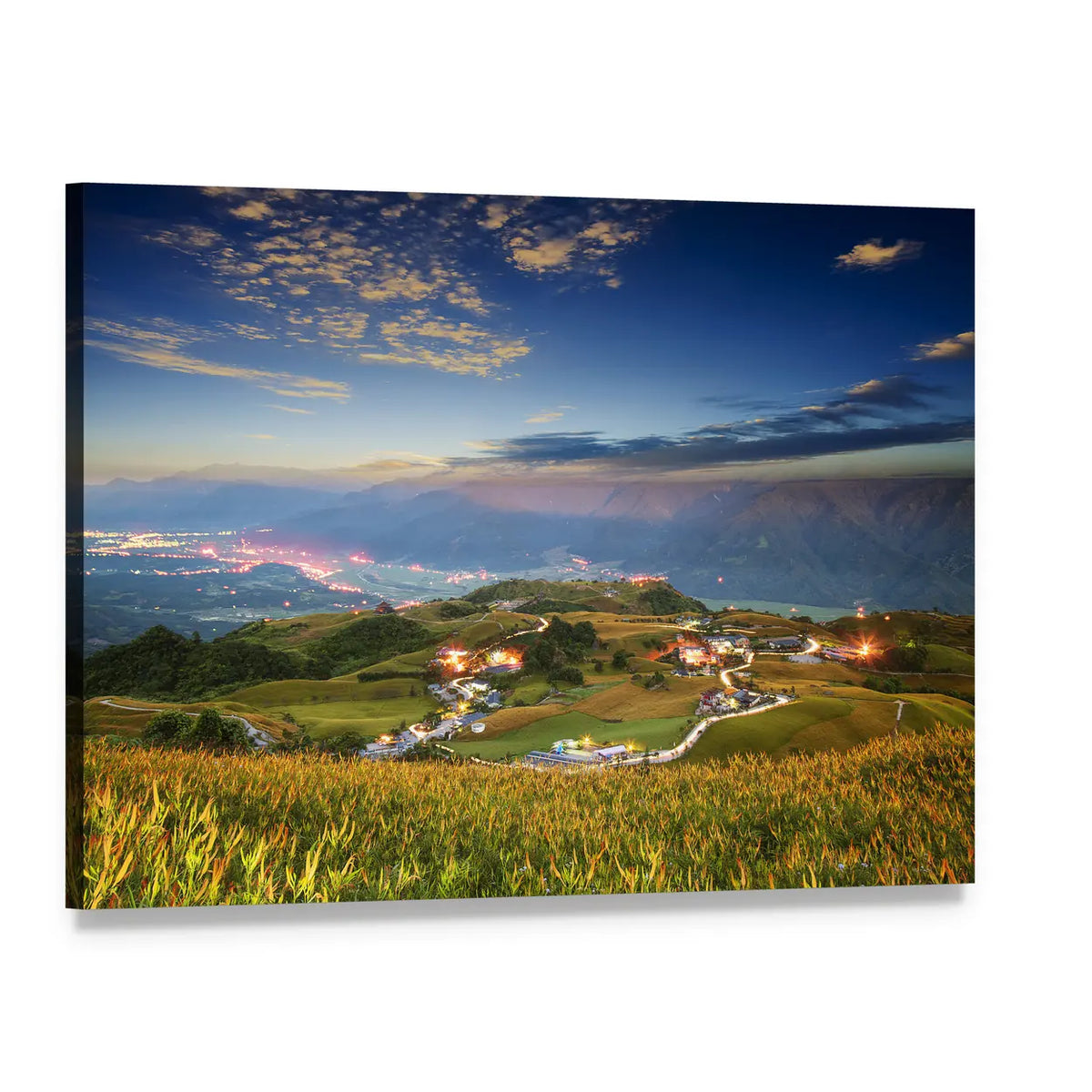 Lioushidan Mountain Daylilies at Dawn Canvas Wall Art, single panel gallery wrapped canvas, angled product view