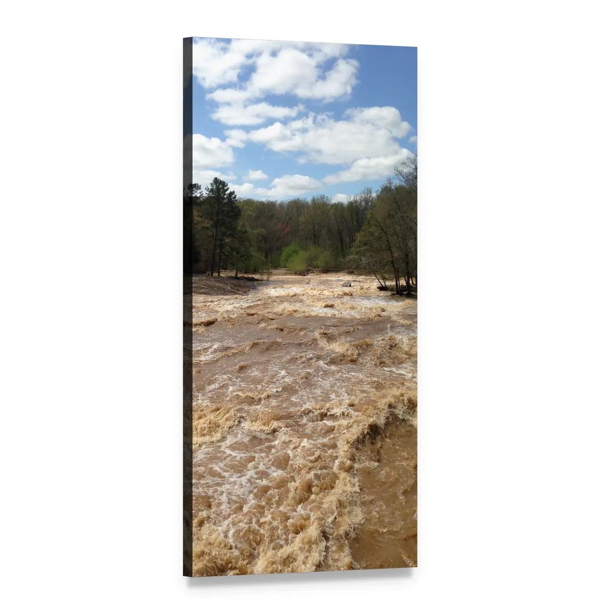 Muddy Flood in Forest Vertical Canvas Wall Art, 1 panel 1 Vertical layout gallery wrapped canvas set, angled product view