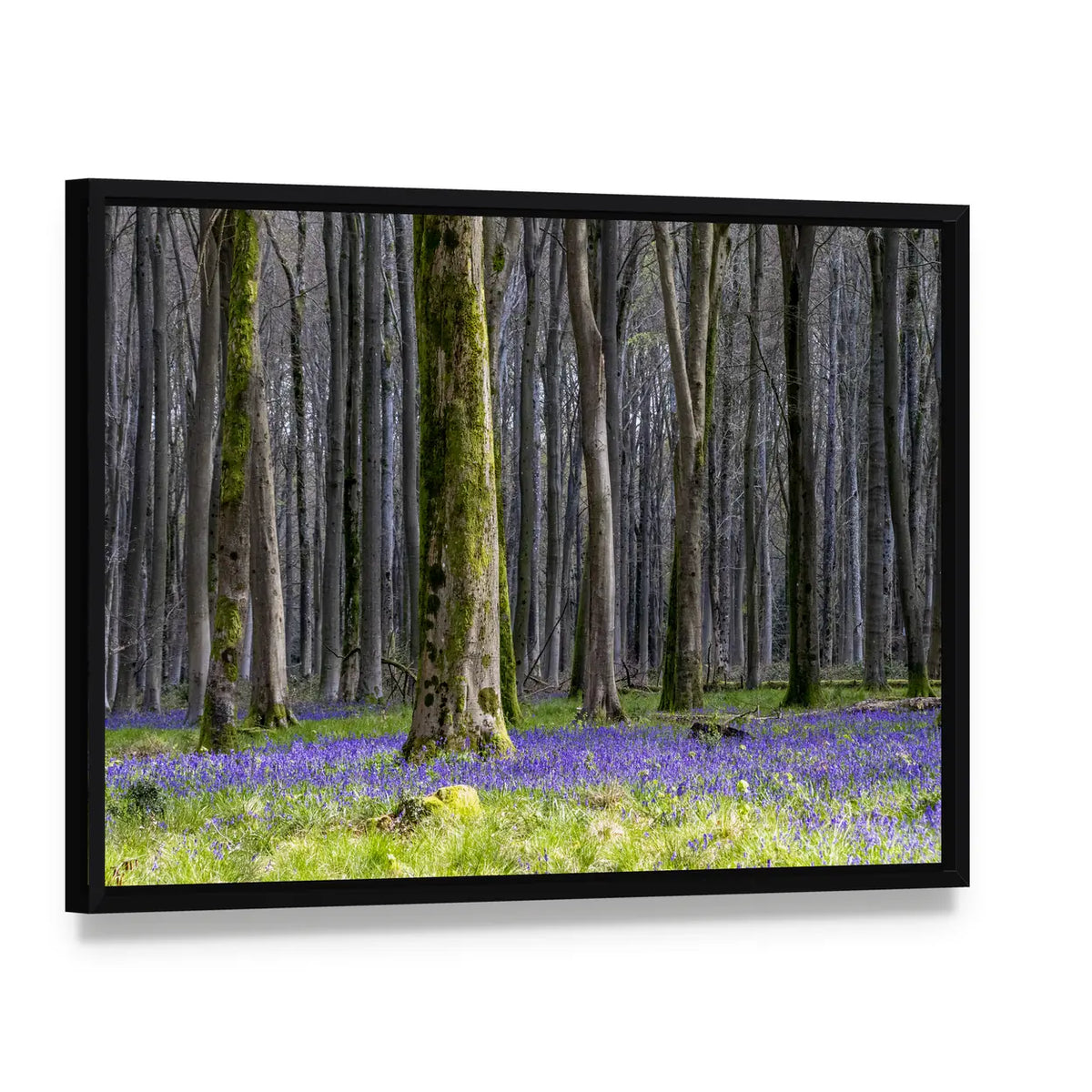 Springtime Bluebell Wood in England Canvas Wall Art, framed canvas in a black floater frame, angled product view