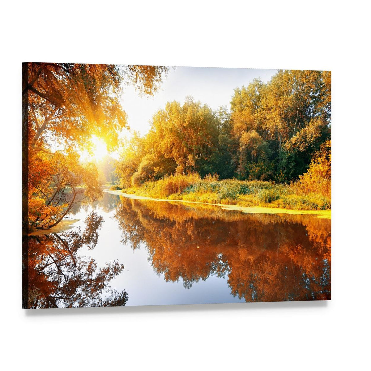 River in Autumn Forest Canvas Wall Art, single panel gallery wrapped canvas, angled product view