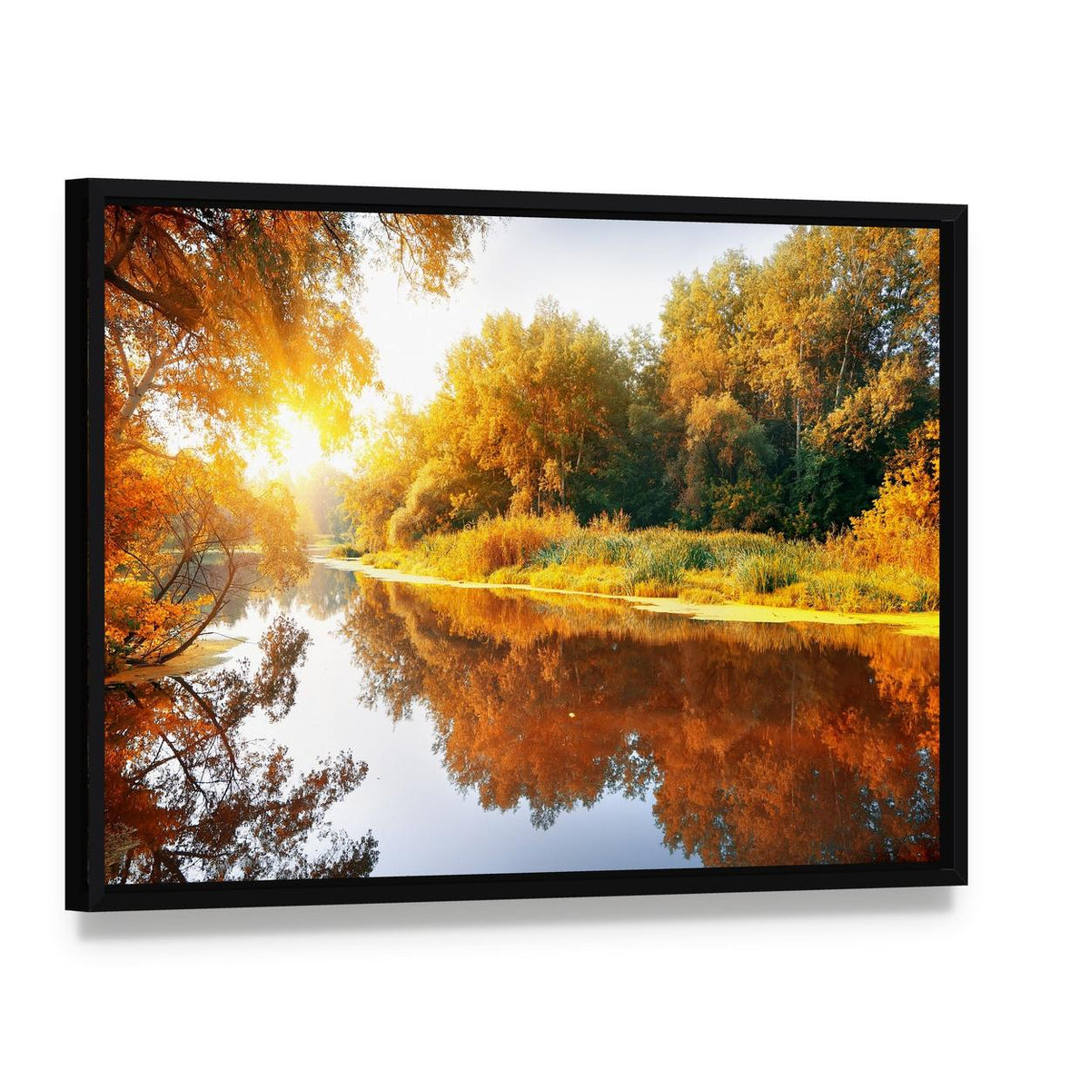 River in Autumn Forest Canvas Wall Art, framed canvas in a black floater frame, angled product view