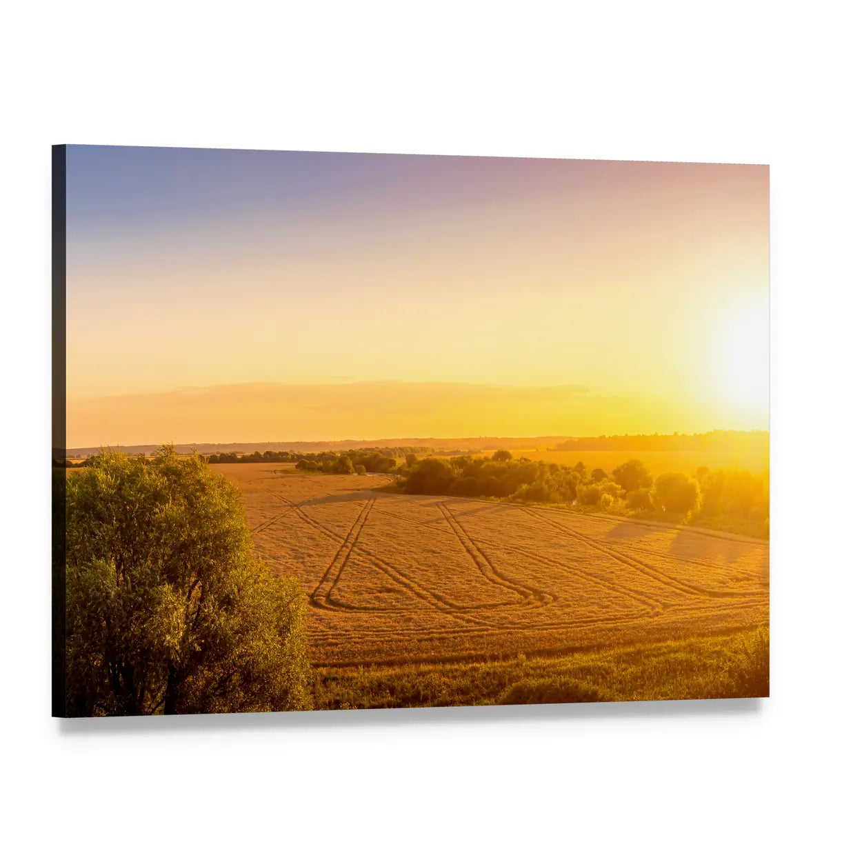 Sunset Over Golden Field with Curved Tracks Canvas Wall Art, single panel gallery wrapped canvas, angled product view