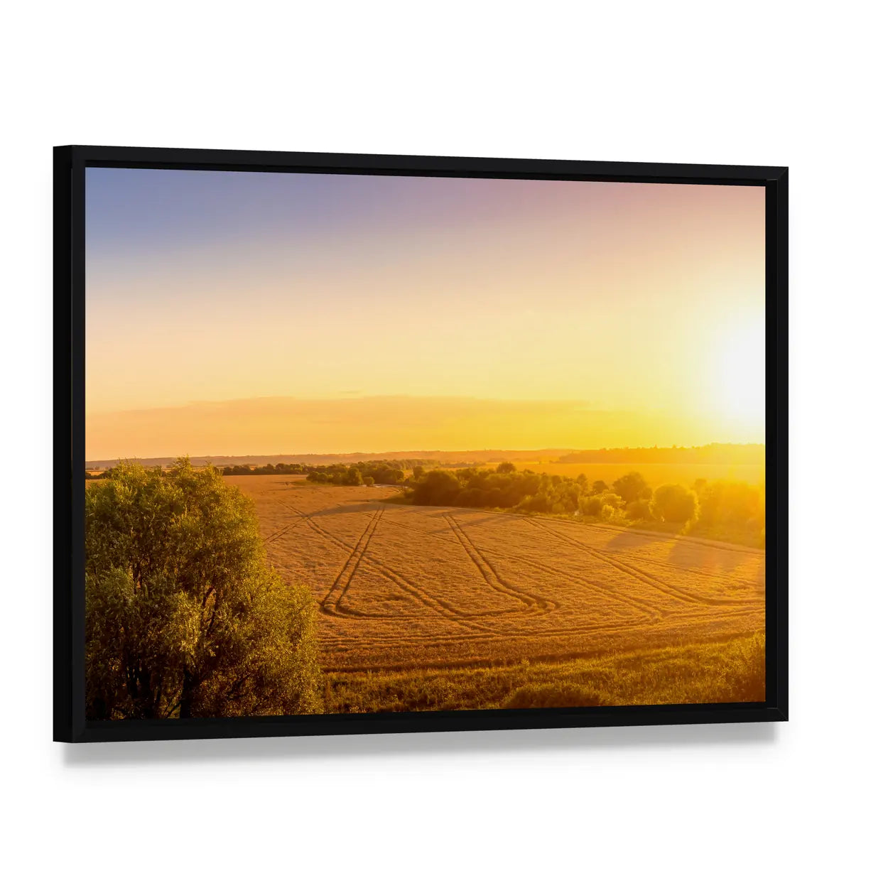 Sunset Over Golden Field with Curved Tracks Canvas Wall Art, framed canvas in a black floater frame, angled product view