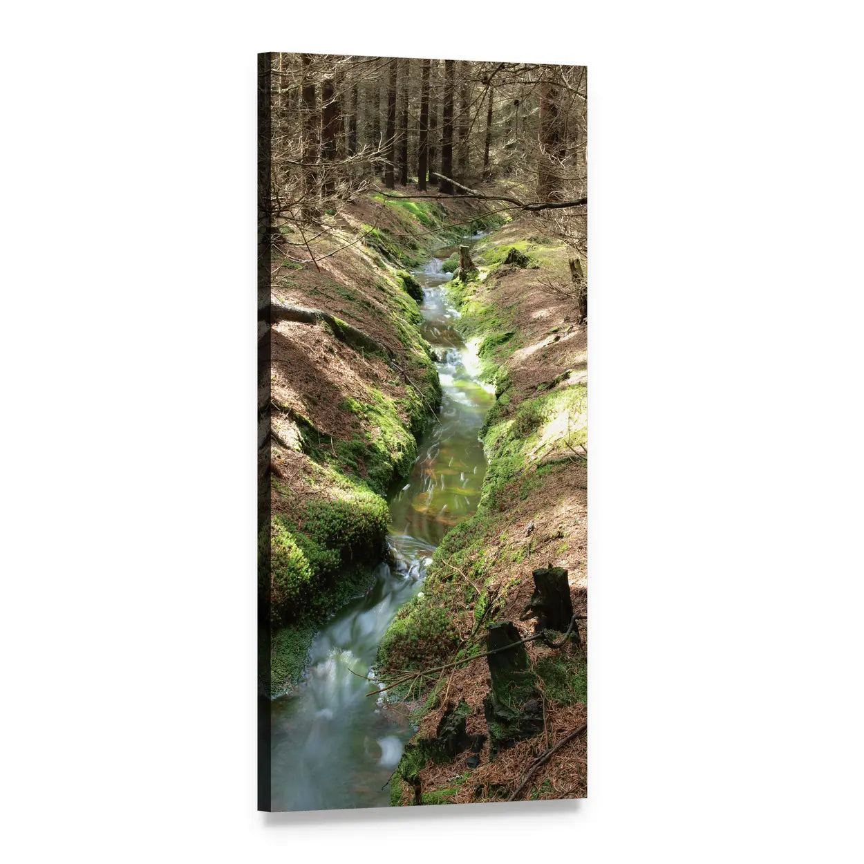 Forest Stream Over Mossy Rocks Vertical Canvas Wall Art, 1 panel 1 Vertical layout gallery wrapped canvas set, angled product view