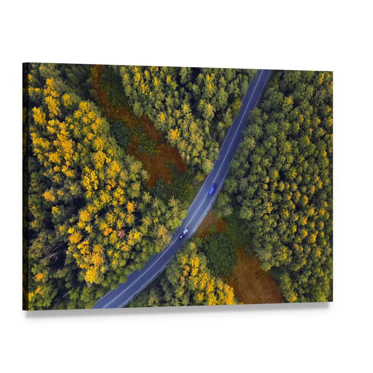 Travel Through Forest Canvas Wall Art, single panel gallery wrapped canvas, angled product view