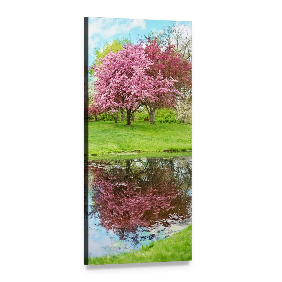 Pink Blossoming Tree Reflection Vertical Canvas Wall Art, 1 panel 1 Vertical layout gallery wrapped canvas set, angled product view