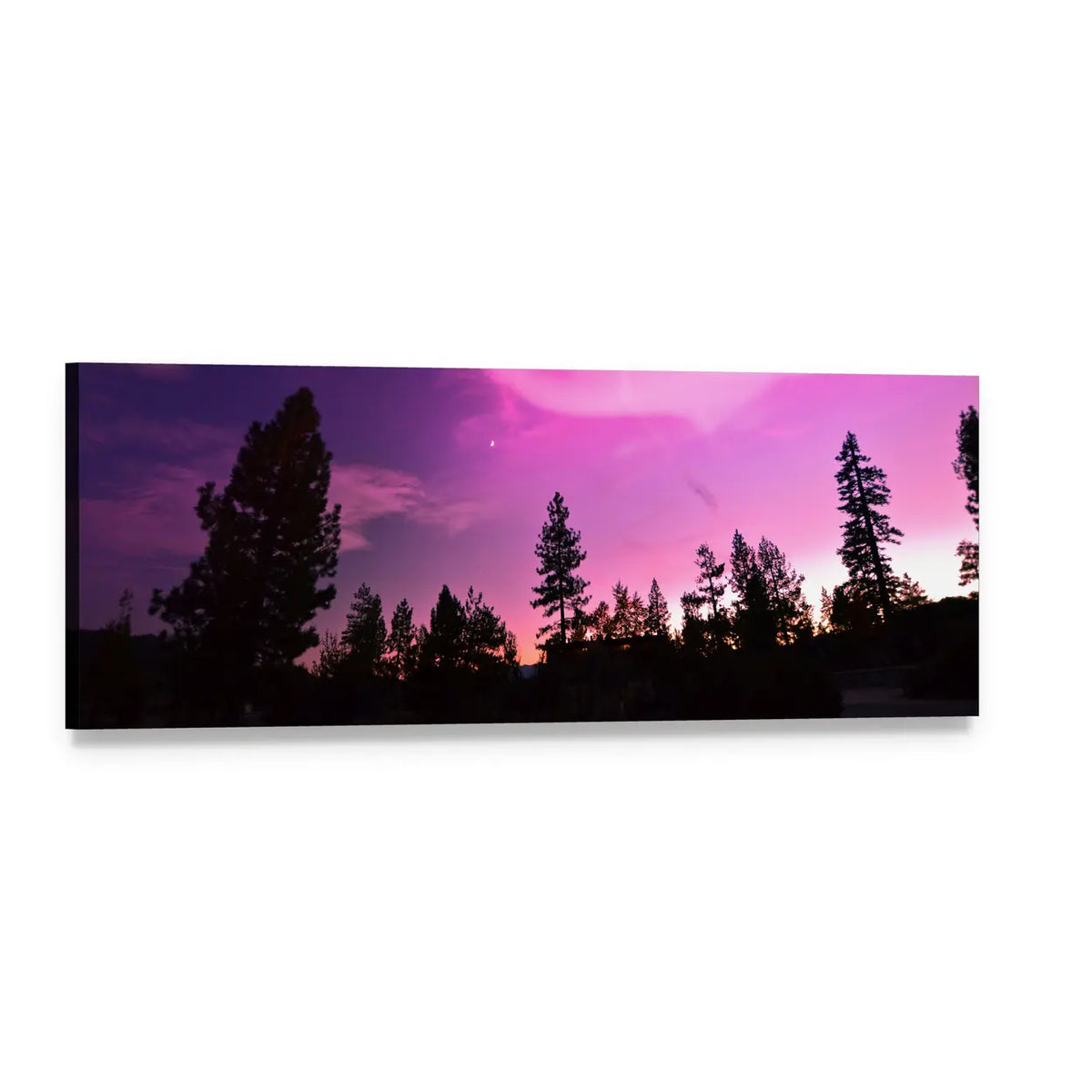 Pink Northern Lights Over Pine Silhouttes Panoramic Canvas Wall Art, single panel gallery wrapped canvas, angled product view
