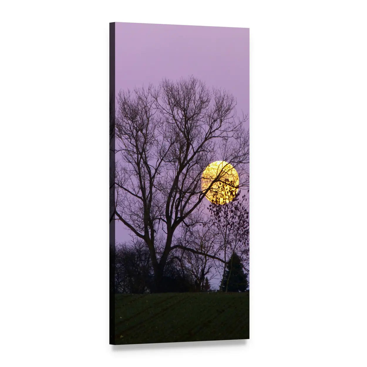 Full Moon Over Silhouetted Tree Vertical Canvas Wall Art, 1 panel 1 Vertical layout gallery wrapped canvas set, angled product view